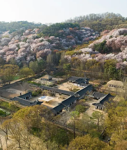 한국민속촌 투어가이드